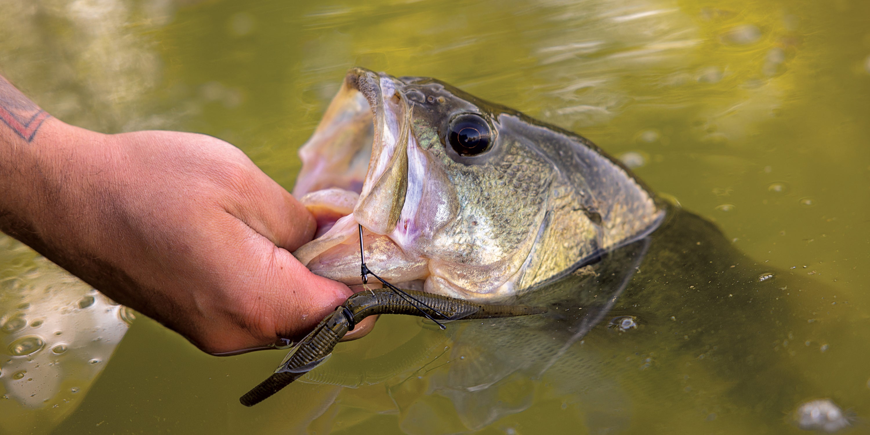 Lazer Sharp Pro Series Avid Kit, Bass Jigs – Eagle Claw Lazer Sharp Pro Series Avid Kit, Bass Jigs – Eagle Claw