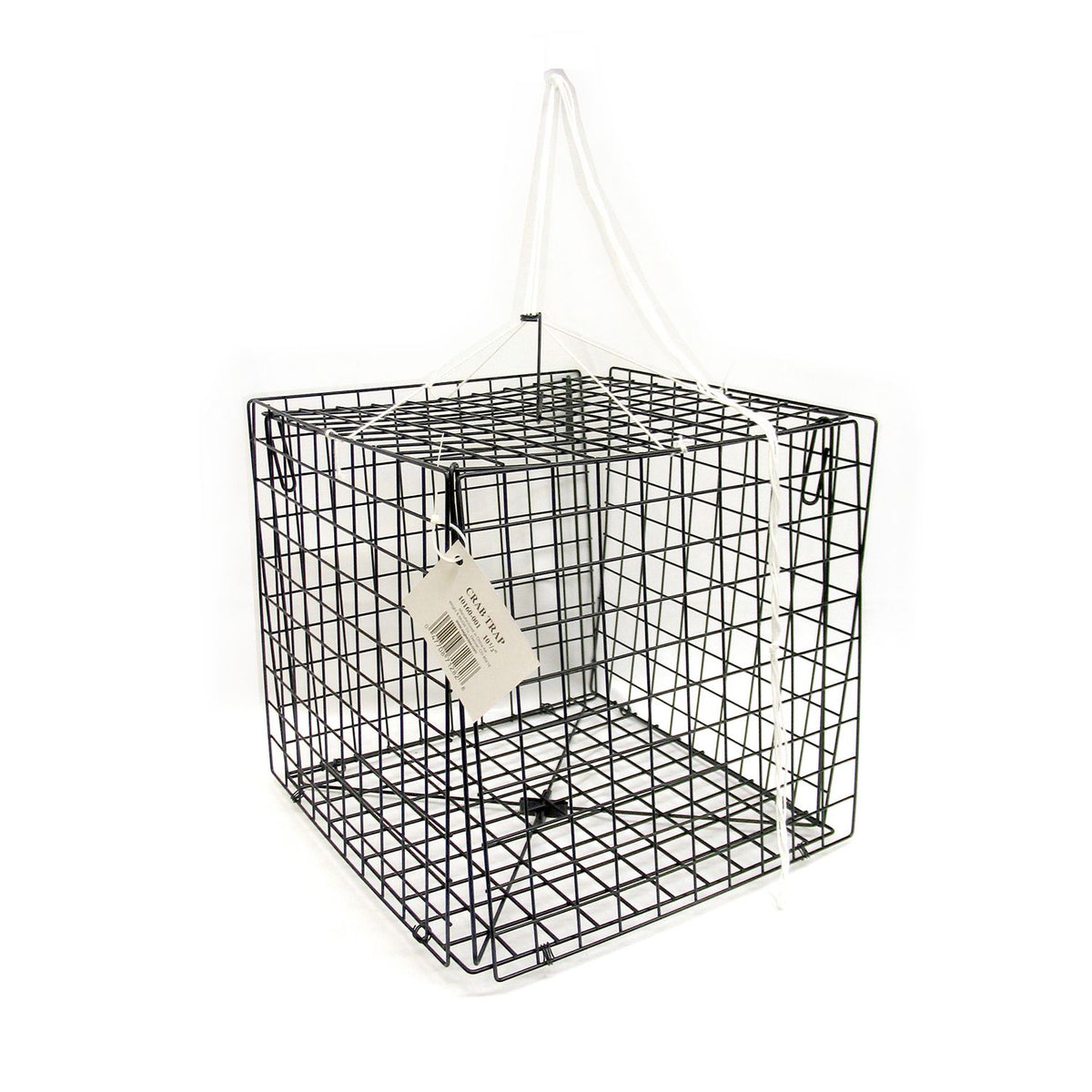 Eagle Claw Crab, Trap 14" X 14"