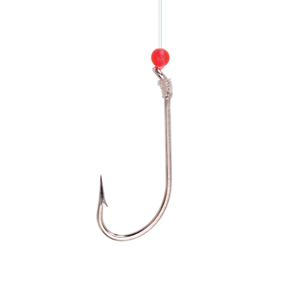 O'Shaughnessy Snell With Red Bead