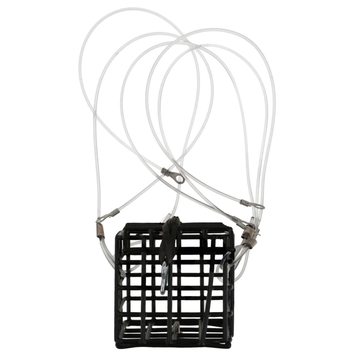 Eagle Claw Crab Snare